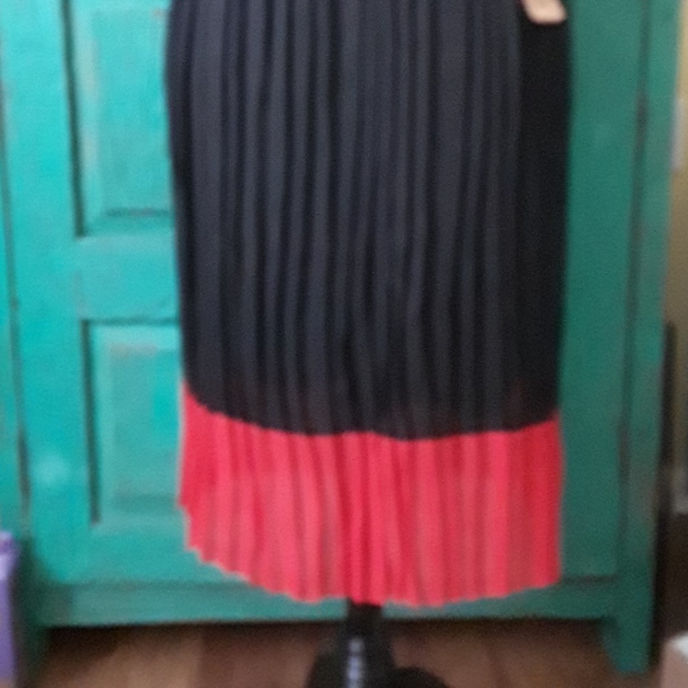 New Women's Jon and Anna Pleated Skirt Sz M - Picture 2 of 5